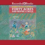 Forty Acres and Maybe a Mule, Harriette Gillem Robinet
