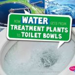 How Water Gets from Treatment Plants to Toilet Bowls, Megan Cooley Peterson