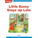 Little Bunny Stays Up Late, Eileen Spinelli
