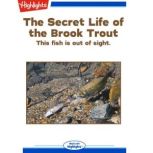 The Secret Life of the Brook Trout, Bob Michelson