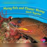 Moray Eels and Cleaner Shrimp Work Together