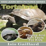 Tortoises Photos and Fun Facts for Kids, Isis Gaillard