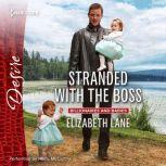 Stranded with the Boss, Elizabeth Lane
