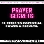 Prayer Secrets 12 STEPS TO POTENTIAL POWER & RESULTS, Terry Wilburn