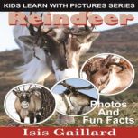 Reindeer Photos and Fun Facts for Kids, Isis Gaillard