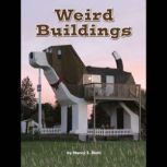 Weird Buildings, Nancy S. Diehl