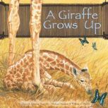 A Giraffe Grows Up, Amanda Doering Tourville
