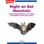 Night on Bat Mountain, John E. Becker
