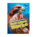Red-tailed Hawks Blastoff! Readers: Level 3, Megan Borgert-Spaniol