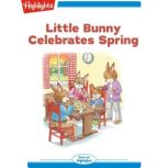 Little Bunny Celebrates Spring Little Bunny, Eileen Spinelli