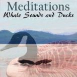 Whale Sounds and Ducks - Meditations, anthony morse
