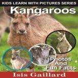 Kangaroos Photos and Fun Facts for Kids