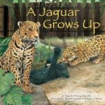 A Jaguar Grows Up, Amanda Doering Tourville