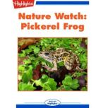 Nature Watch: Pickerel Frog; Spot the Imposter, Peter Friederici
