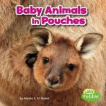 Baby Animals in Pouches, Martha Rustad