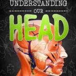 Understanding Our Head
