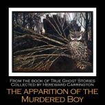 The Apparition of the Murdered Boy