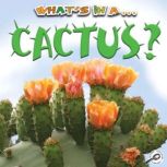 What's In A Cactus?, Tracy N. Maurer