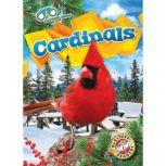 Cardinals, Elizabeth Neuenfeldt