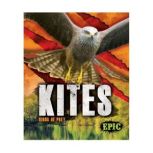 Kites, Nathan Sommer