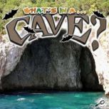 What's In A Cave?, Tracy N. Maurer