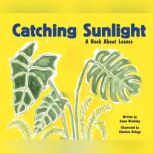 Catching Sunlight A Book About Leaves, Susan Blackaby