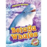 Beluga Whales, Betsy Rathburn