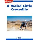 A Weird Little Crocodile, Andy Boyles