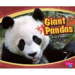 Giant Pandas, Lyn Sirota