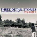 Three Detail Stories Volume 2, Nicholas Leither
