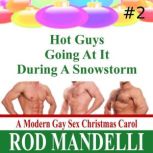 Hot Guys Going At It During A Snowstorm, Rod Mandelli