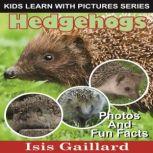 Hedgehogs Photos and Fun Facts for Kids