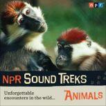 NPR Sound Treks: Animals Unforgettable Encounters in the Wild, Jon Hamilton