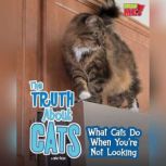 The Truth about Cats What Cats Do When You're Not Looking