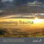 A Guided Imagery Program to Heal Trauma, Jane Ehrman