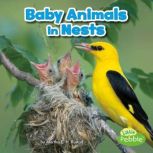 Baby Animals in Nests, Martha Rustad