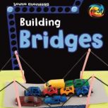 Building Bridges, Tammy Enz