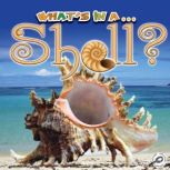 What's In A Shell?, Tracy N. Maurer
