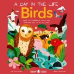 Birds (A Day in the Life) What Do Flamingos, Owls, and Penguins Get Up To All Day?, Dr. Alex Bond