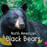 North American Black Bears, G.G. Lake