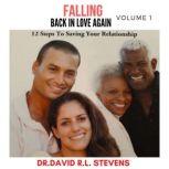 Falling Back In Love, Again 12 Steps To Saving Your Relationship, David Stevens