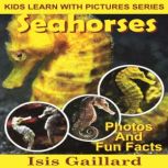 Seahorses Photos and Fun Facts for Kids, Isis Gaillard