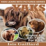 Yaks Photos and Fun Facts for Kids, Isis Gaillard