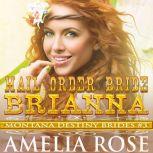 Mail Order Bride Brianna Historical Frontier Cowboy Romance, Amelia Rose