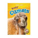 Baby Camels Blastoff! Readers: Level 1, Megan Borgert-Spaniol
