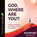 God, Where Are You?! Finding Strength and Purpose in Your Wilderness, John Bevere