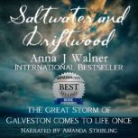 Saltwater and Driftwood A Historical Novel, Anna J Walner