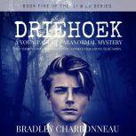 Driehoek A Young Adult Paranormal Mystery, Bradley Charbonneau