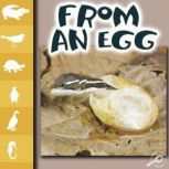From an Egg Life Science - Let's Look at Animals, Lynn Stone