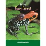 In the Rain Forest, Christina Wilsdon